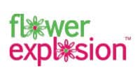 FlowerExplosion logo